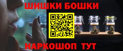 СК Тула