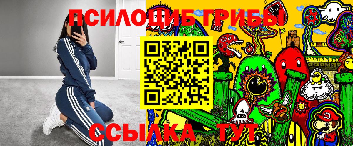 Псилоцибиновые грибы Cubensis Урус-Мартан