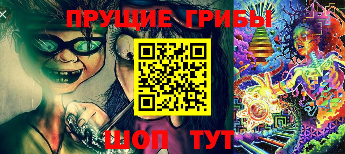 Псилоцибиновые грибы Psilocybe  Вход с VPN  Урус-Мартан 